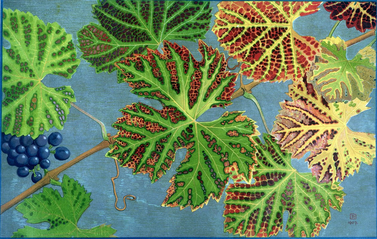 Autumn Leaves, av Philippe Robert, Robert Ried upplagor av Philippe Robert