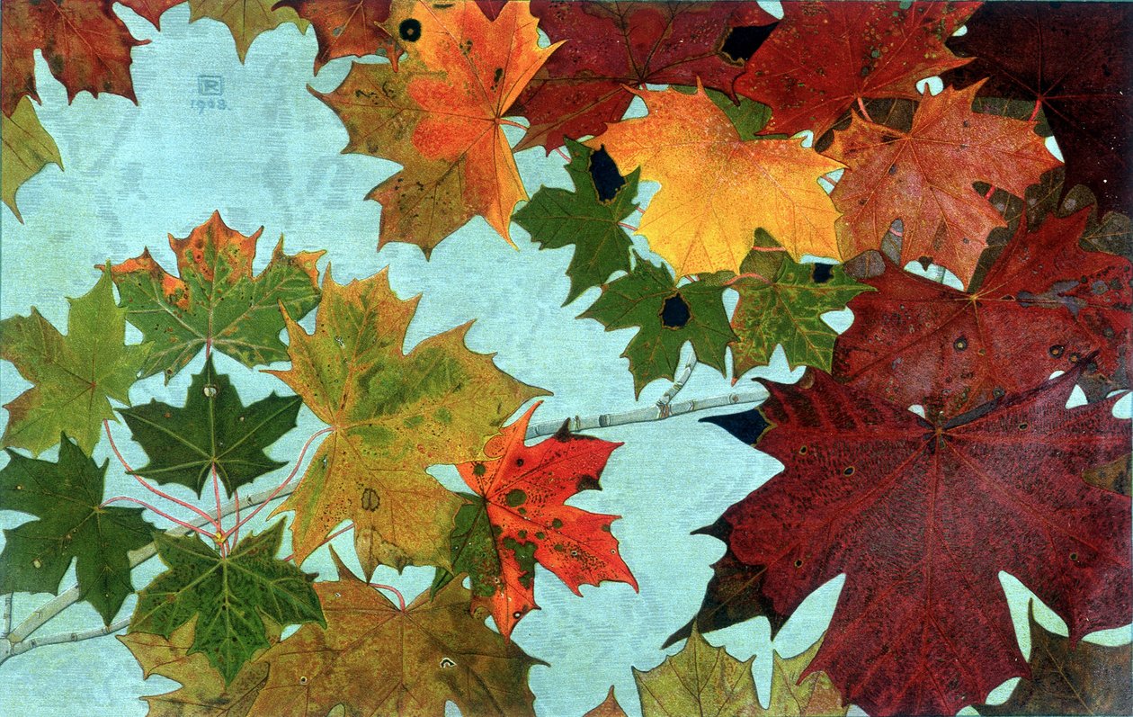 Autumn Leaves, av Philippe Robert, Robert Ried upplagor av Philippe Robert