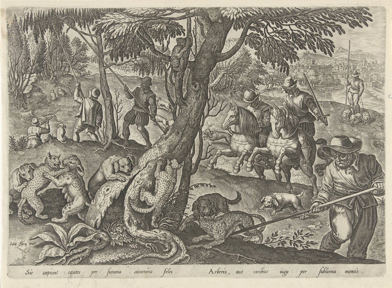 Jacht op wilde katten Jachttaferelen (serietitel) Där alla typer av jakt, fågelfågel och fiske (serietitel) av Philips Galle