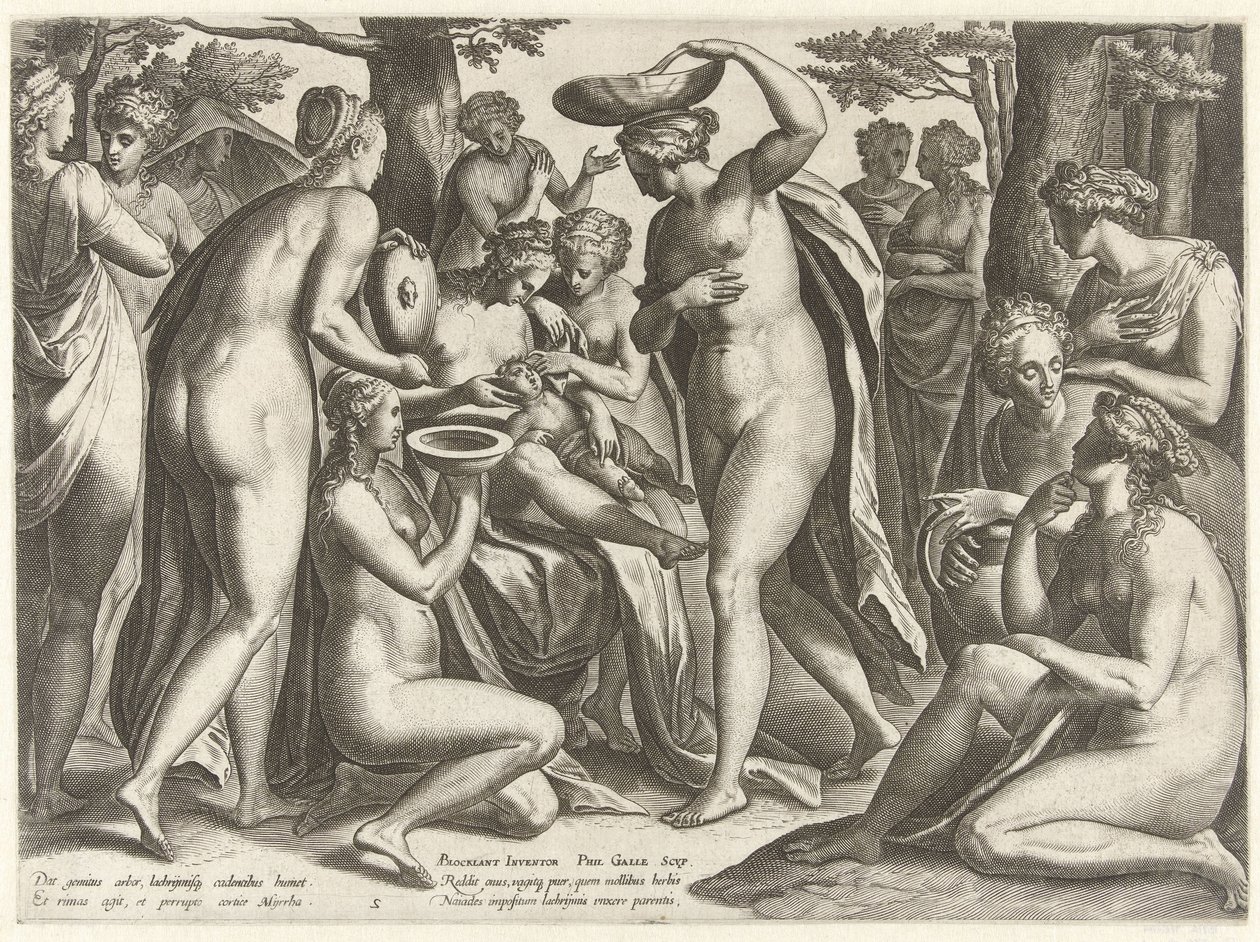 Utbildning av Adonis The Story of Adonis (serietitel) av Philips Galle