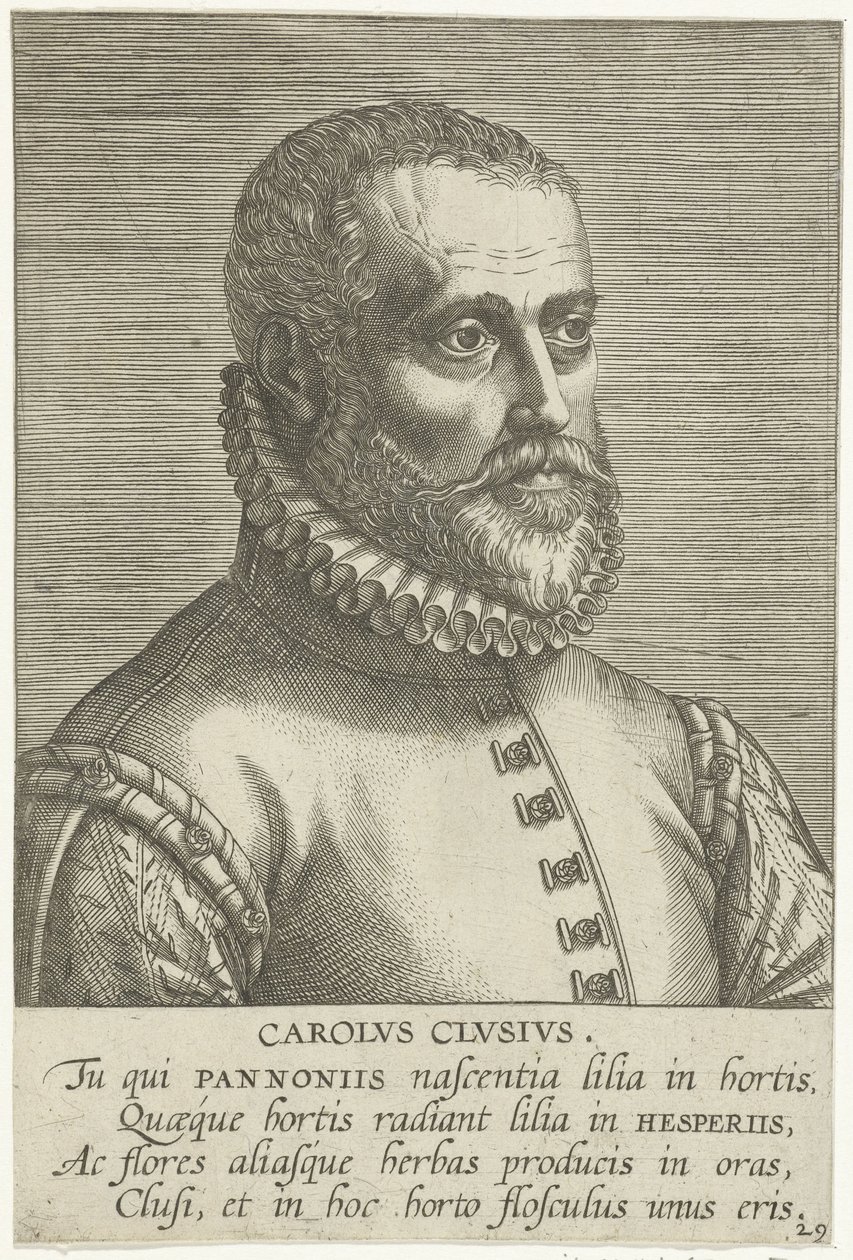 Porträtt av Carolus Clusius av Philips Galle