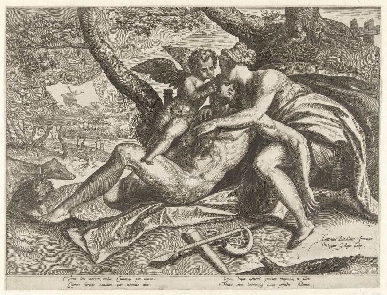 Venus sörjer Adonis död The Story of Adonis (serietitel) av Philips Galle