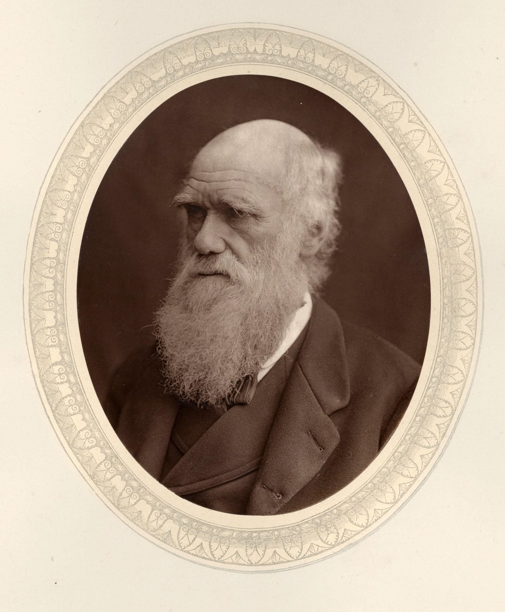 Porträtt av Charles Darwin 1809-1882, 1877. av Photo studio Lock and Whitfield