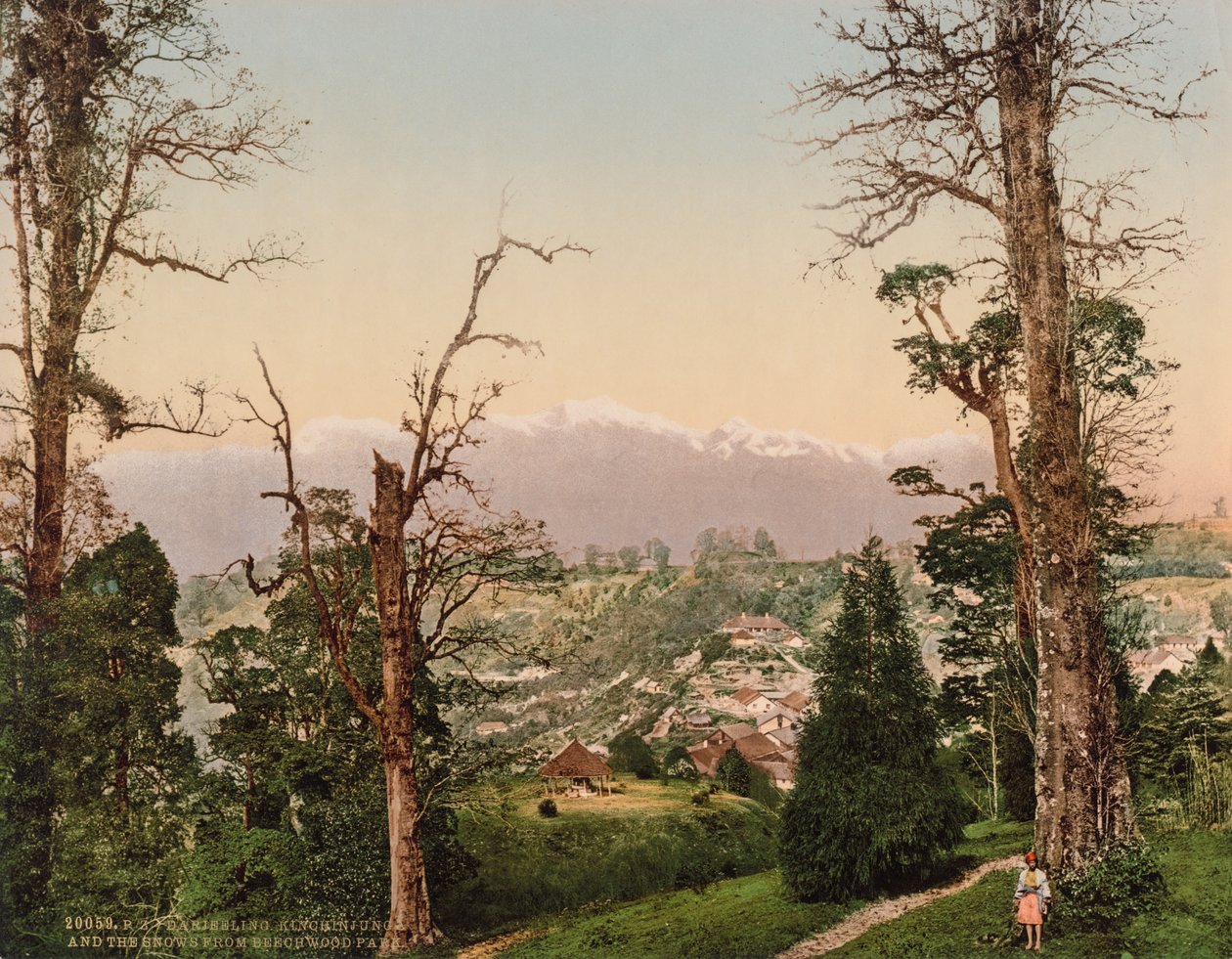Darjeeling. Kinchinjunga och snön från Beechwood Park av Photoglob Co. (Zurich, active c. 1890 1910)