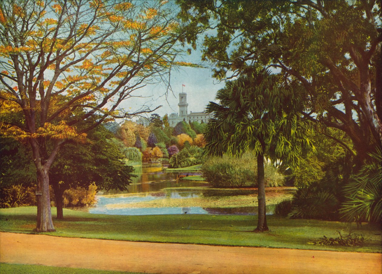  av Photographer Australian