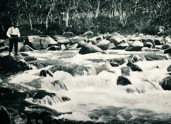 Öringforsar i Snowy River, Jindabyne, New South Wales, ca 1900, från `Under the Southern Cross - Glimpses of Australia