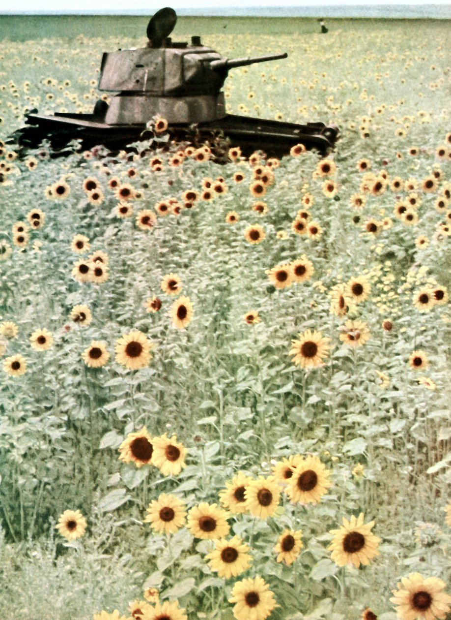 Operation Barbarossa av Photographer German