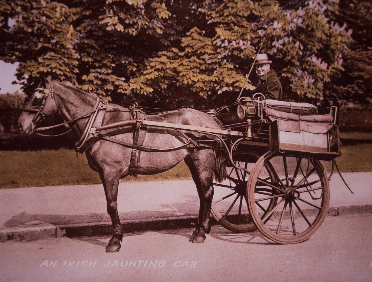 An Irish Jaunting Car, ca 1910 (handfärgat svartvitt foto) av Photographer Irish