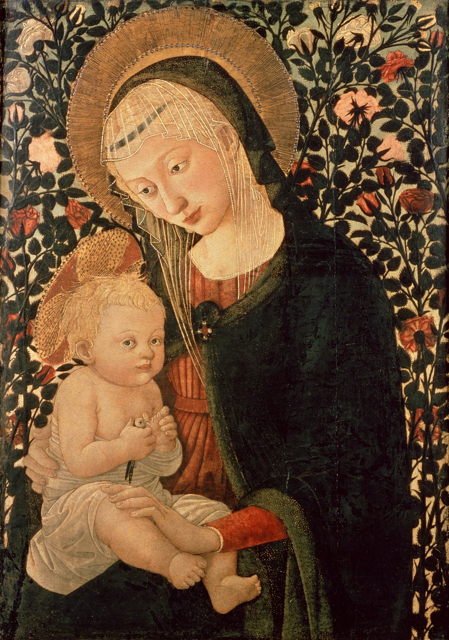 Okänd bild av Pier Francesco Fiorentino