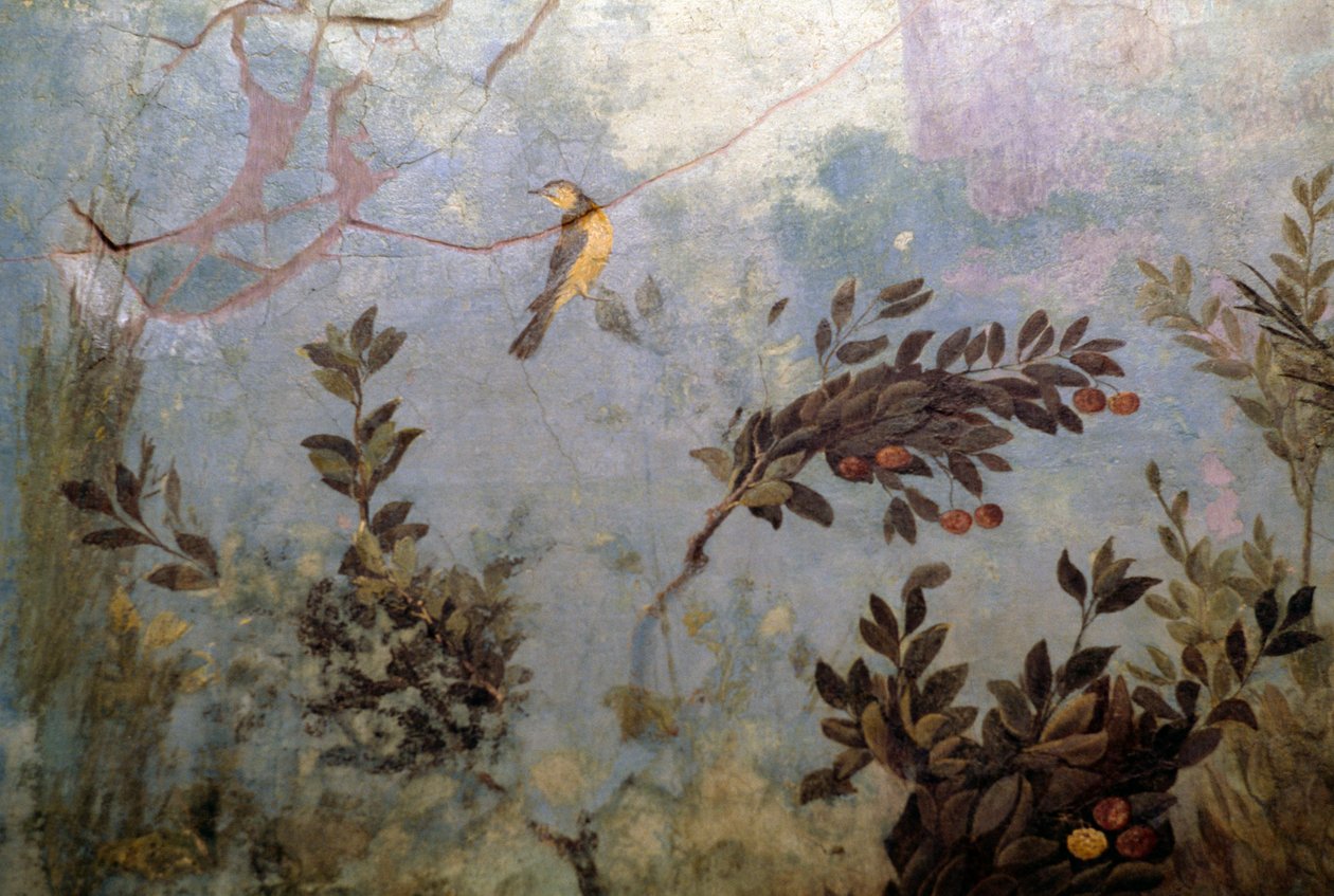 Fågel, detalj från en fresk föreställande en trädgård med träd och fåglar, från huset av Livia på Palatine-kullen, Rom, Italien. romersk civilisation av Blaise Nicolas Le Sueur