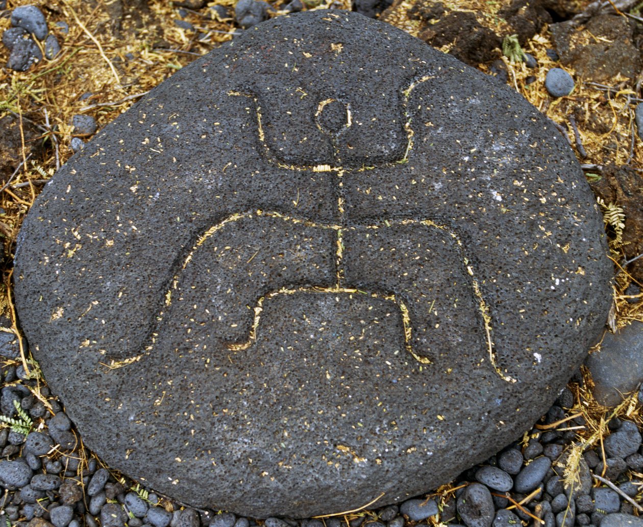 Stengravyr, Puako Petroglyph Archaeological District, Island of Hawaii, USA av Blaise Nicolas Le Sueur