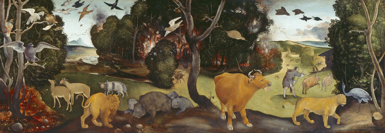 Skogsbranden, 1400-talet av Piero di Cosimo