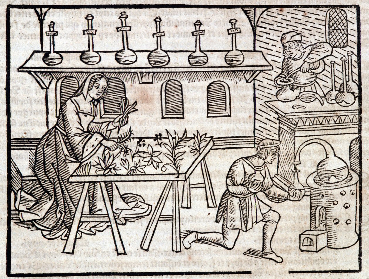 Medicin genom växter och deras dygder - i "" Rural and rural profits"" av Pierre de Crescent, Paris av Piero da Crescentino