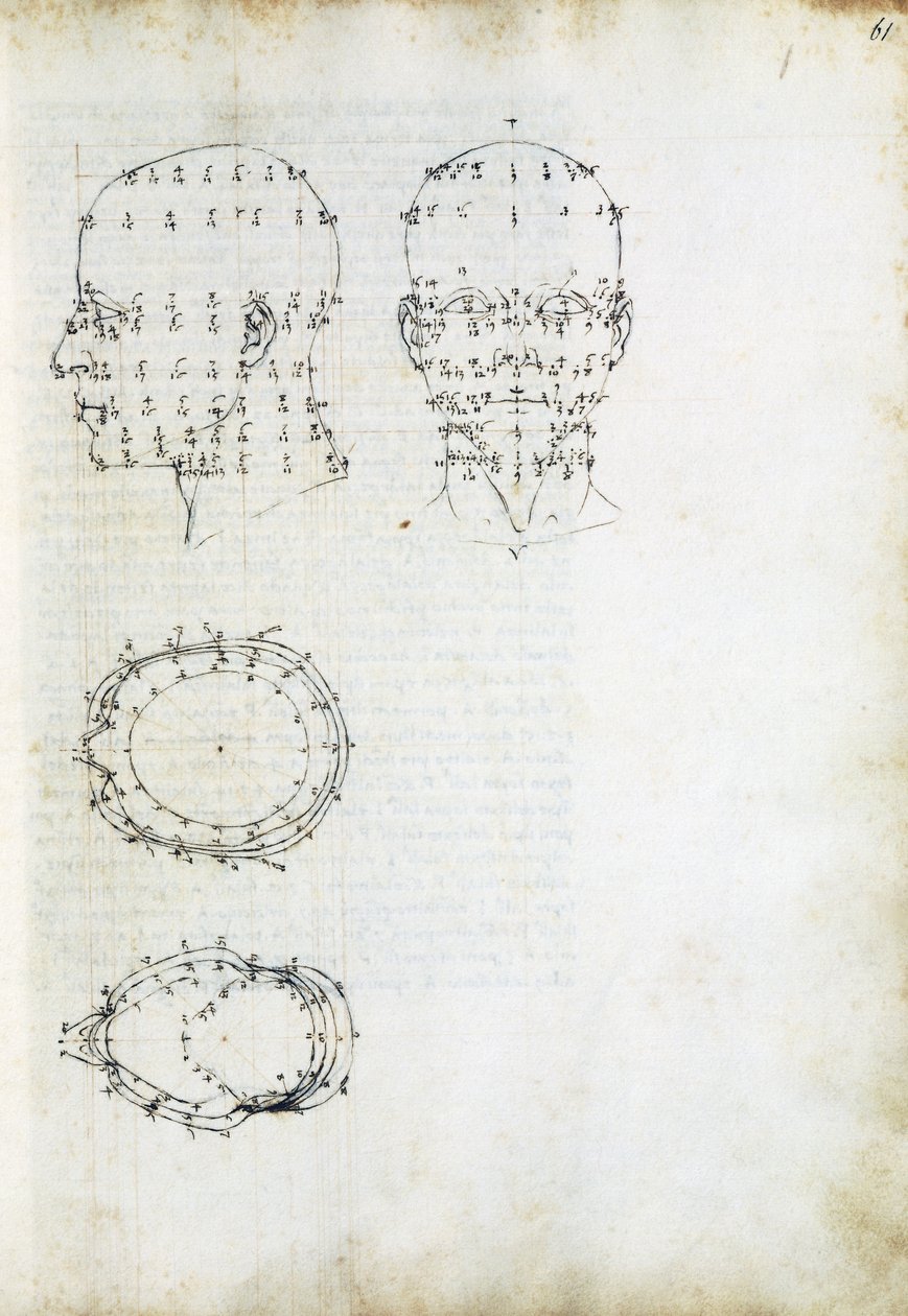 Konstruktion och geometrisk projektion av huvudet, sida från De Prospectiva pingendi (Om målningens perspektiv), av Piero della Francesca (ca 1415-1492), Italien av Piero della Francesca