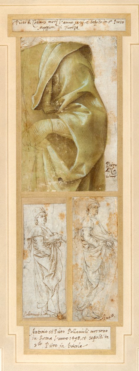 En mans kraftigt draperade vänstra arm och axel (penna & brunt bläck med grön tvätt förhöjd med vit kroppsfärg på vitt papper) av Piero di Cosimo