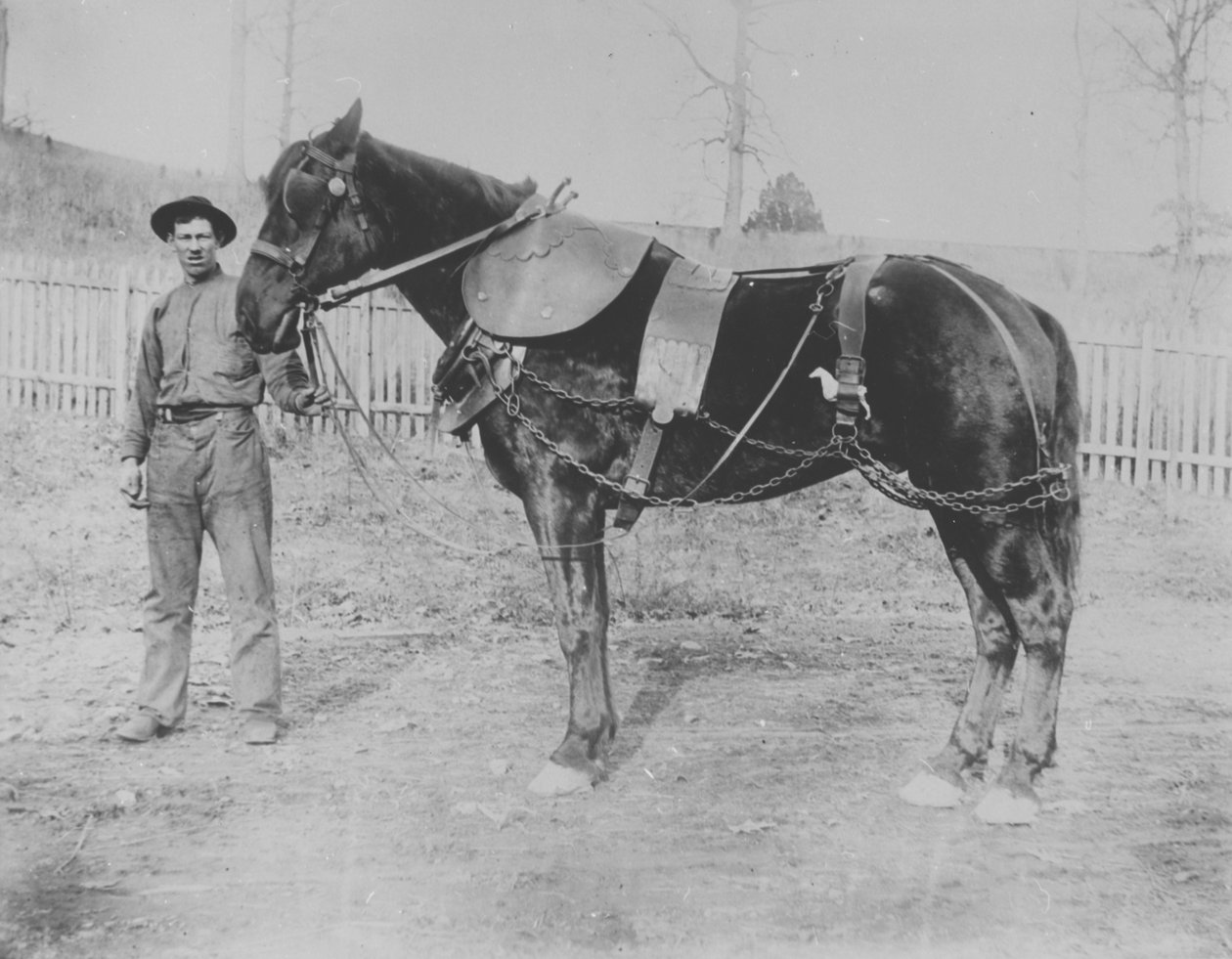 Donohoe (förnamn okänt) och hans häst av Pierre A. Gentieu