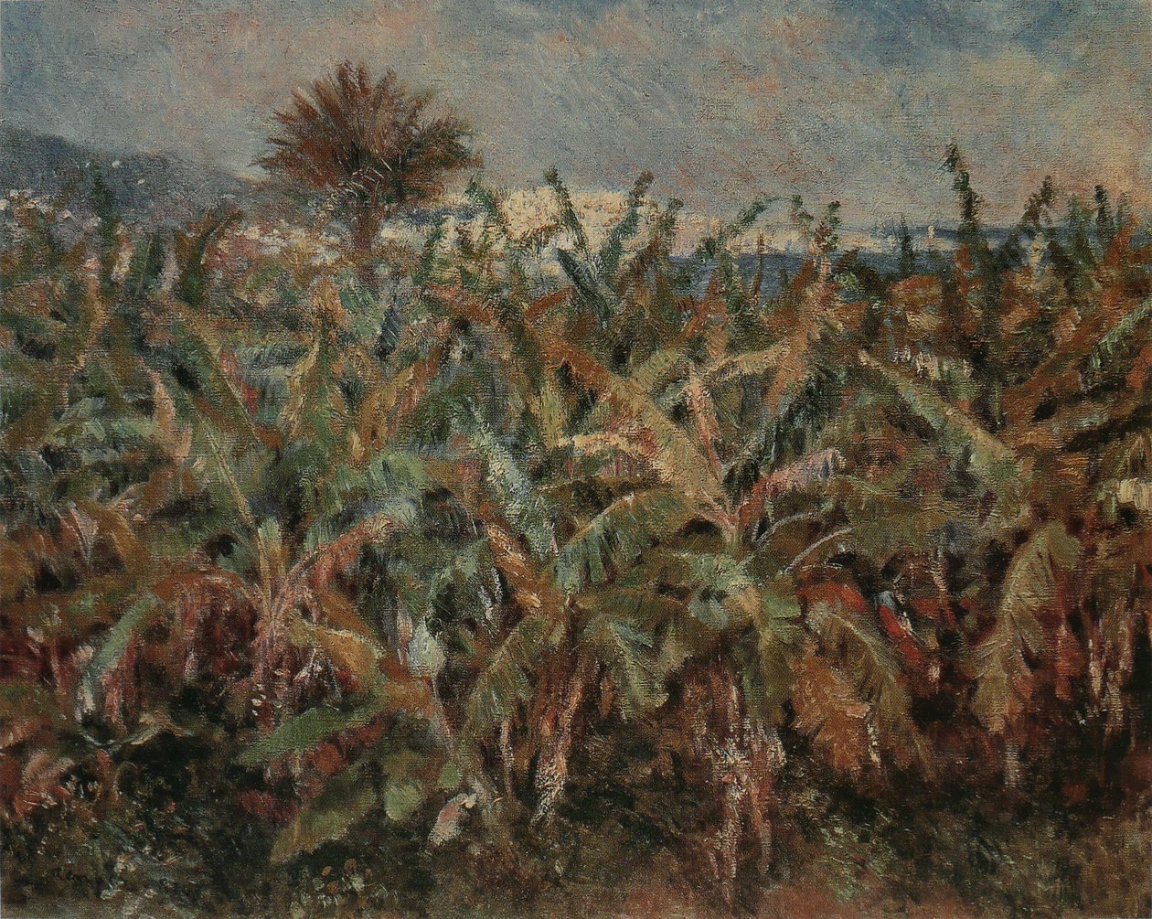 Champ de bananiers av Pierre Auguste Renoir
