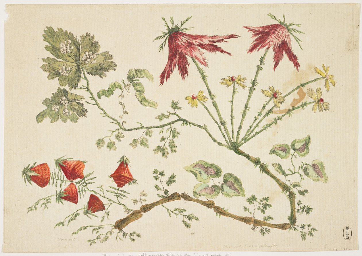 Ornament, Chinoiserie, Blommor, 30 juni 1760 (färgad etsning) av Pierre Charles Canot
