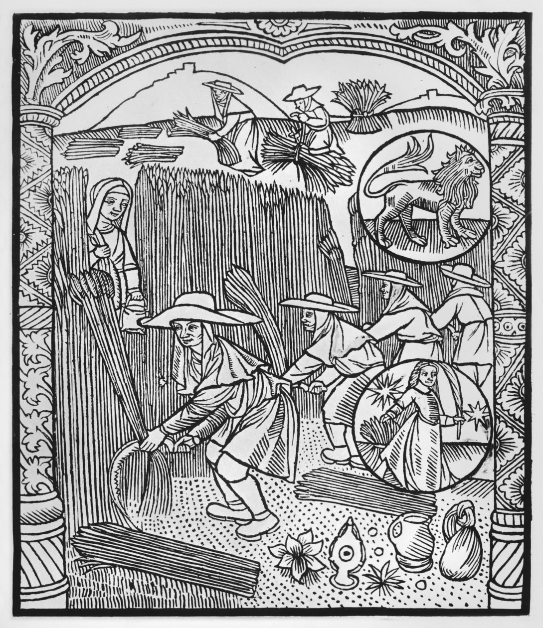 Augusti, skörd, Lejon, illustration från 