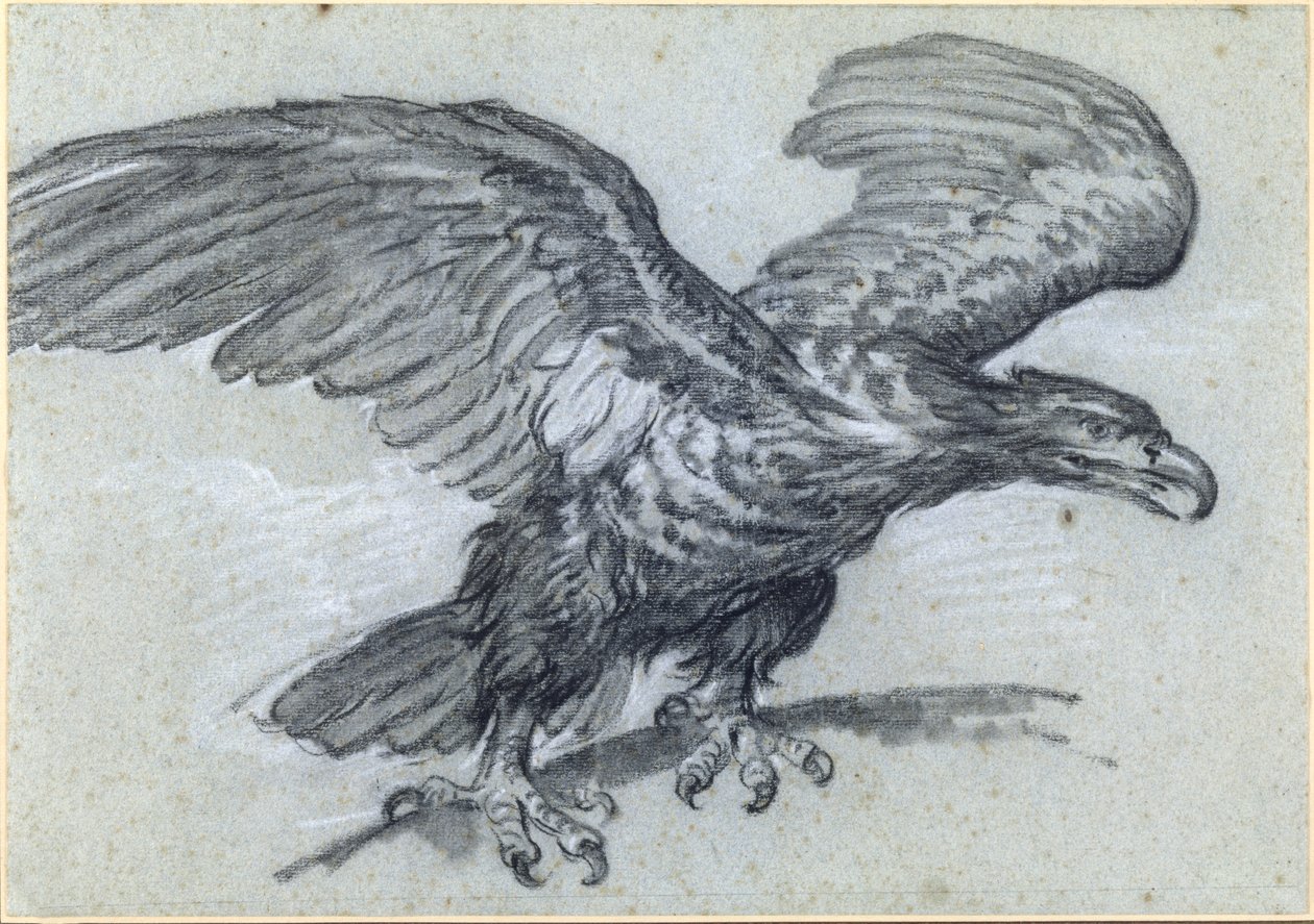 En örn, 1811 av Pierre Paul Prudhon