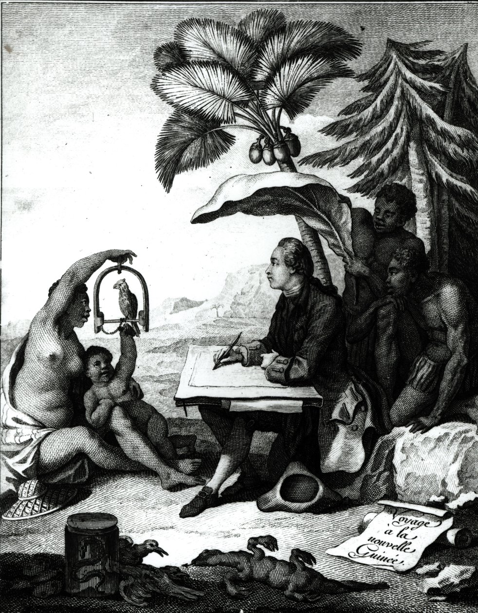 Pierre Sonnerat ritar en fågel, från "Voyage a la Nouvelle-Guinee", graverad av Marie Therese Martinet (f.1731) 1776 av Pierre Sonnerat