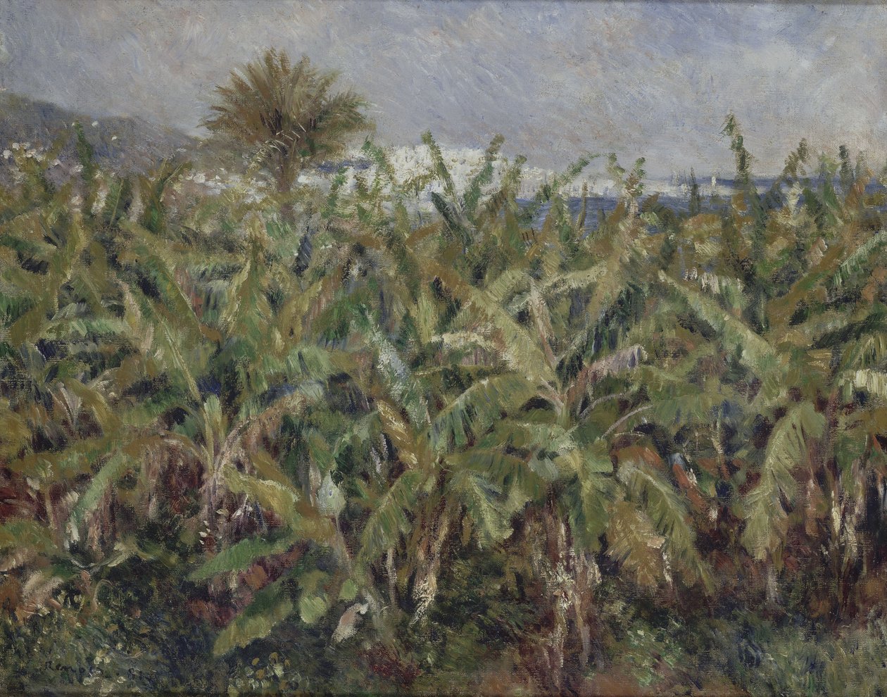 Bananfält av Pierre-Auguste Renoir