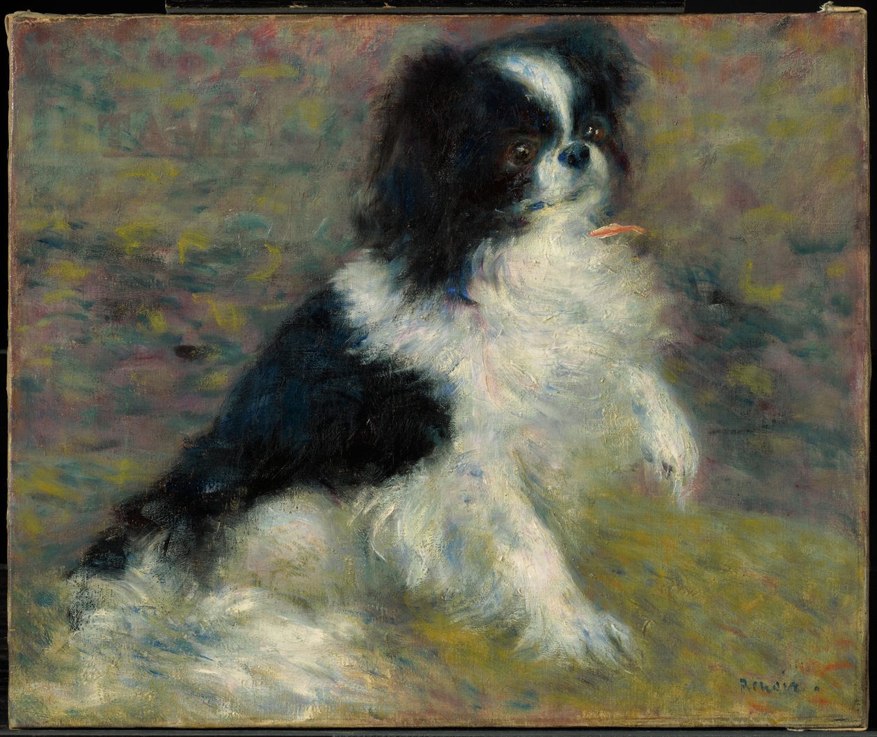Tama, den japanska hunden av Pierre-Auguste Renoir