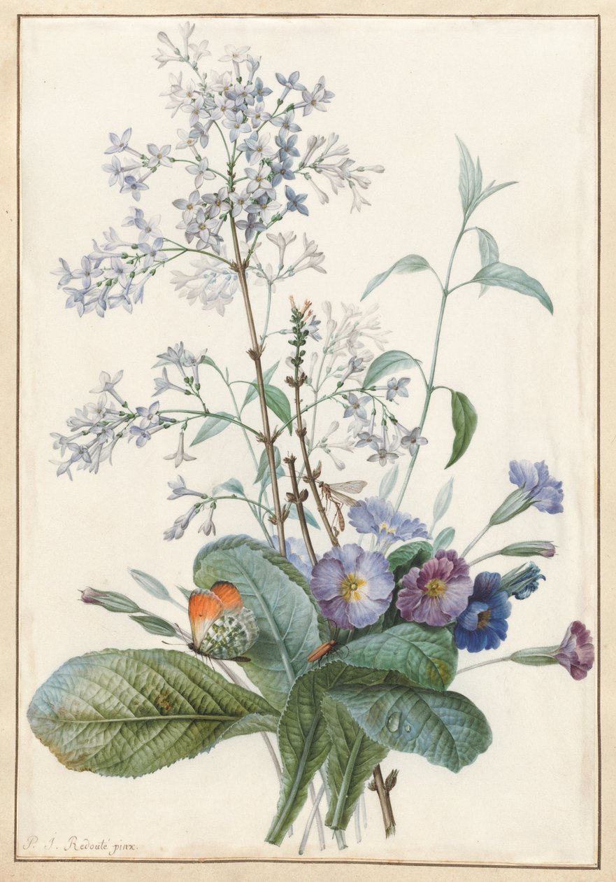 En bukett blommor med insekter av Pierre Joseph Redouté