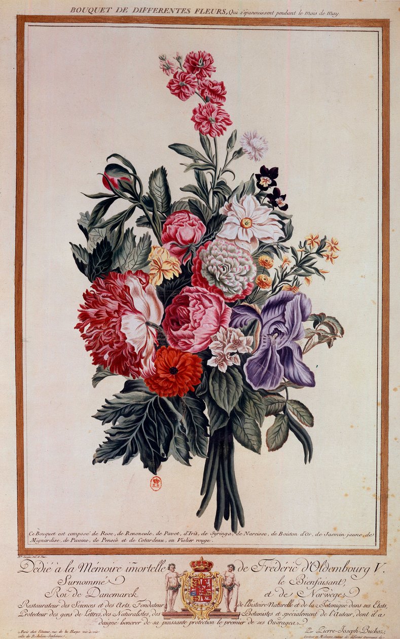 Bukett blommor melange Litografi av Pierre Joseph av Pierre Joseph Buchoz