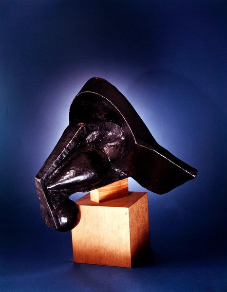 Huvud av en häst av Pierre Maurice Raymond Duchamp Villon