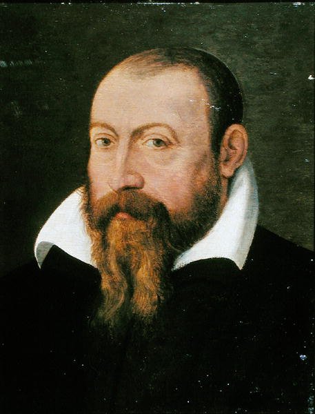 Jacques Dalechamps (1513-88) (olja på panel) av Pierre (attr. to) Eskrich