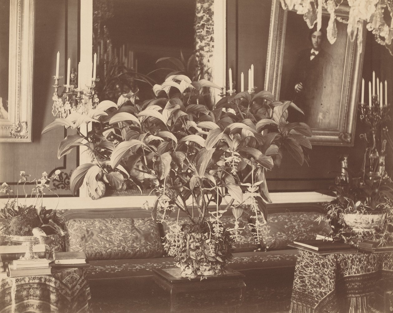 Interiör,1860-tal (foto) av Pierre Ambroise Richebourg