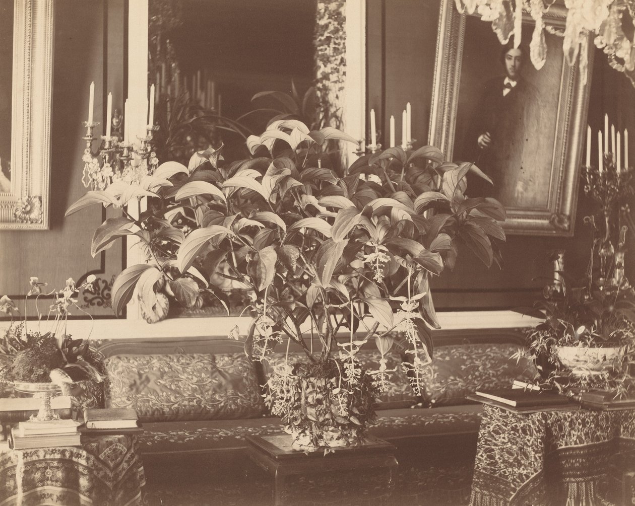 Interiör, 1860-tal. av Pierre Ambrose Richebourg