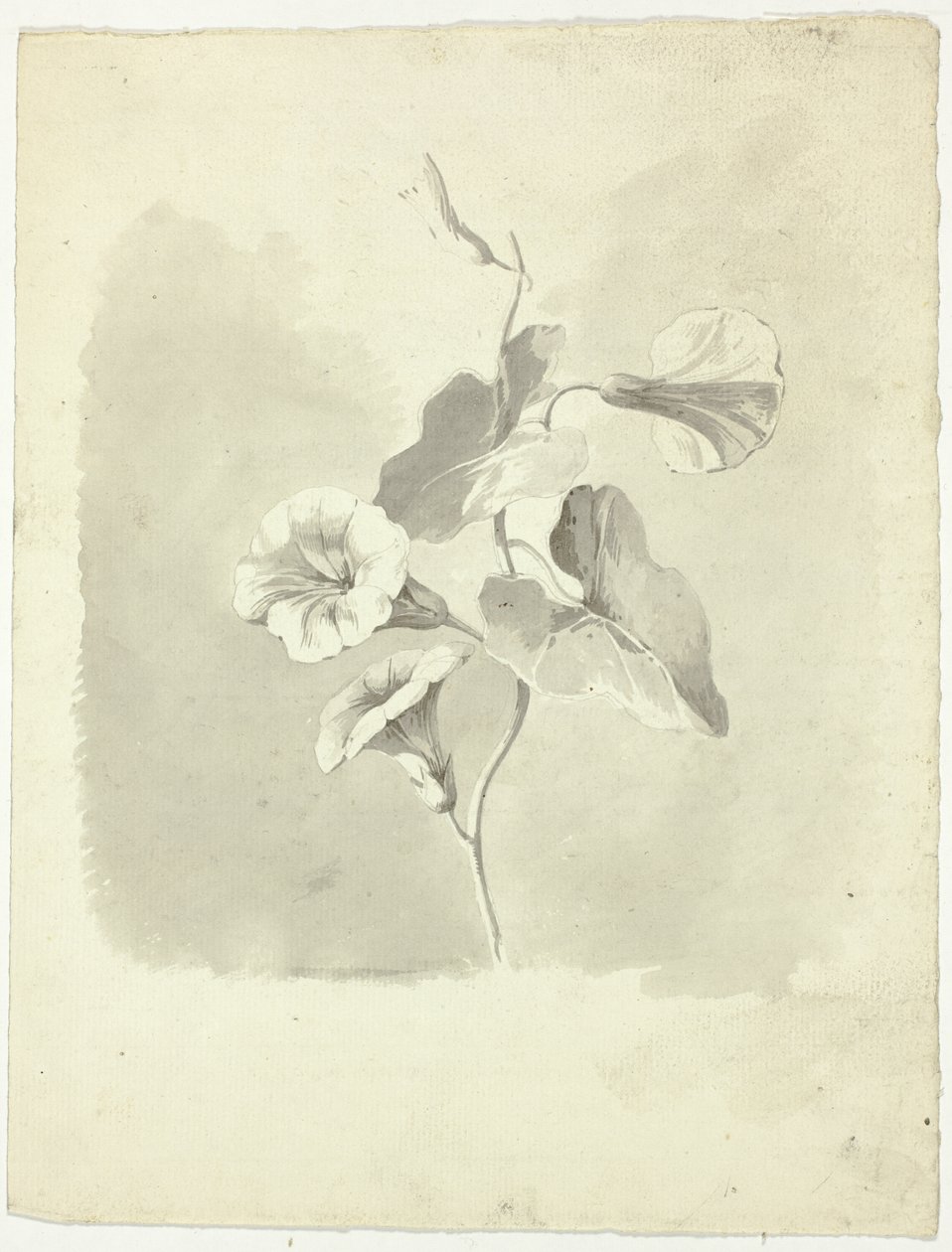 Morgonblommor av Pierre Antoine Mongin