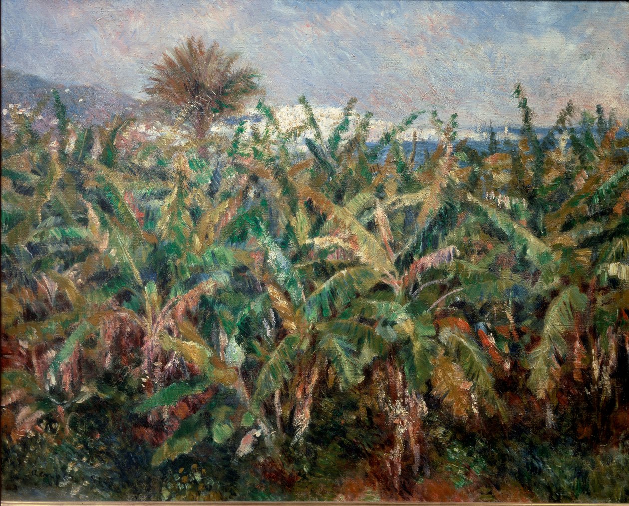 Bananfält av Pierre Auguste Renoir