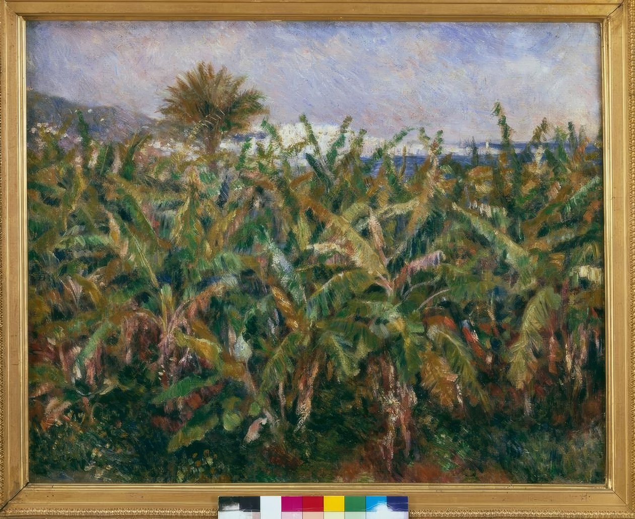 Bananfält av Pierre Auguste Renoir