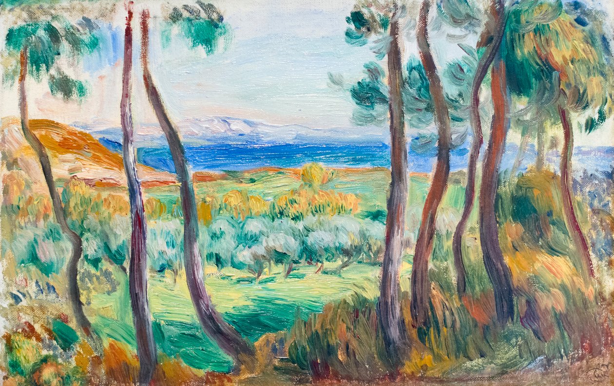 Tallar nära Cagnes, ca. 1910 (olja på duk) av Pierre Auguste Renoir