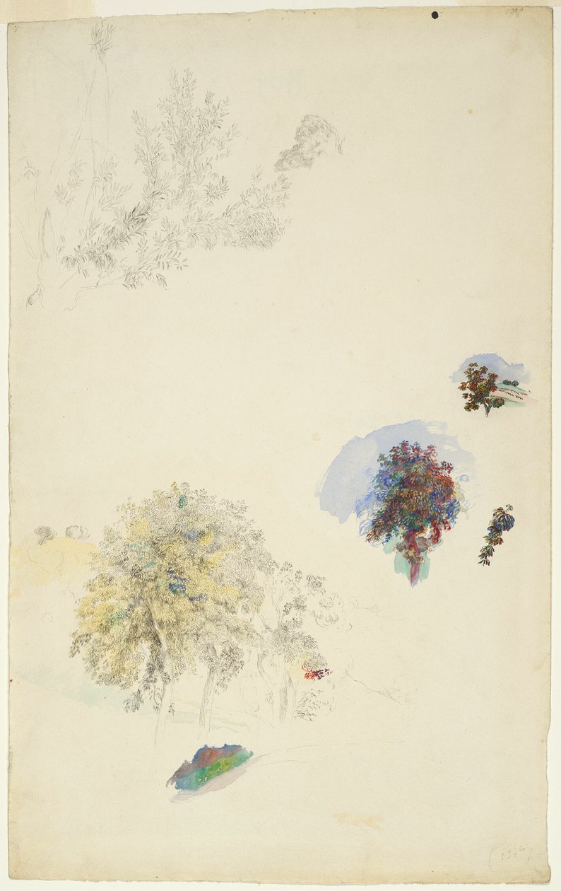 Studier av träd och lövverk av Pierre Auguste Renoir