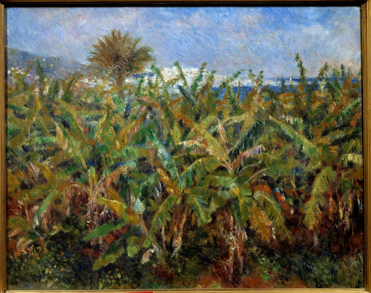 Un champ de bananas Målning av Pierre Auguste Renoir (1841-1919) 1881 Sön. 0,51x0,63 m Paris, musee d