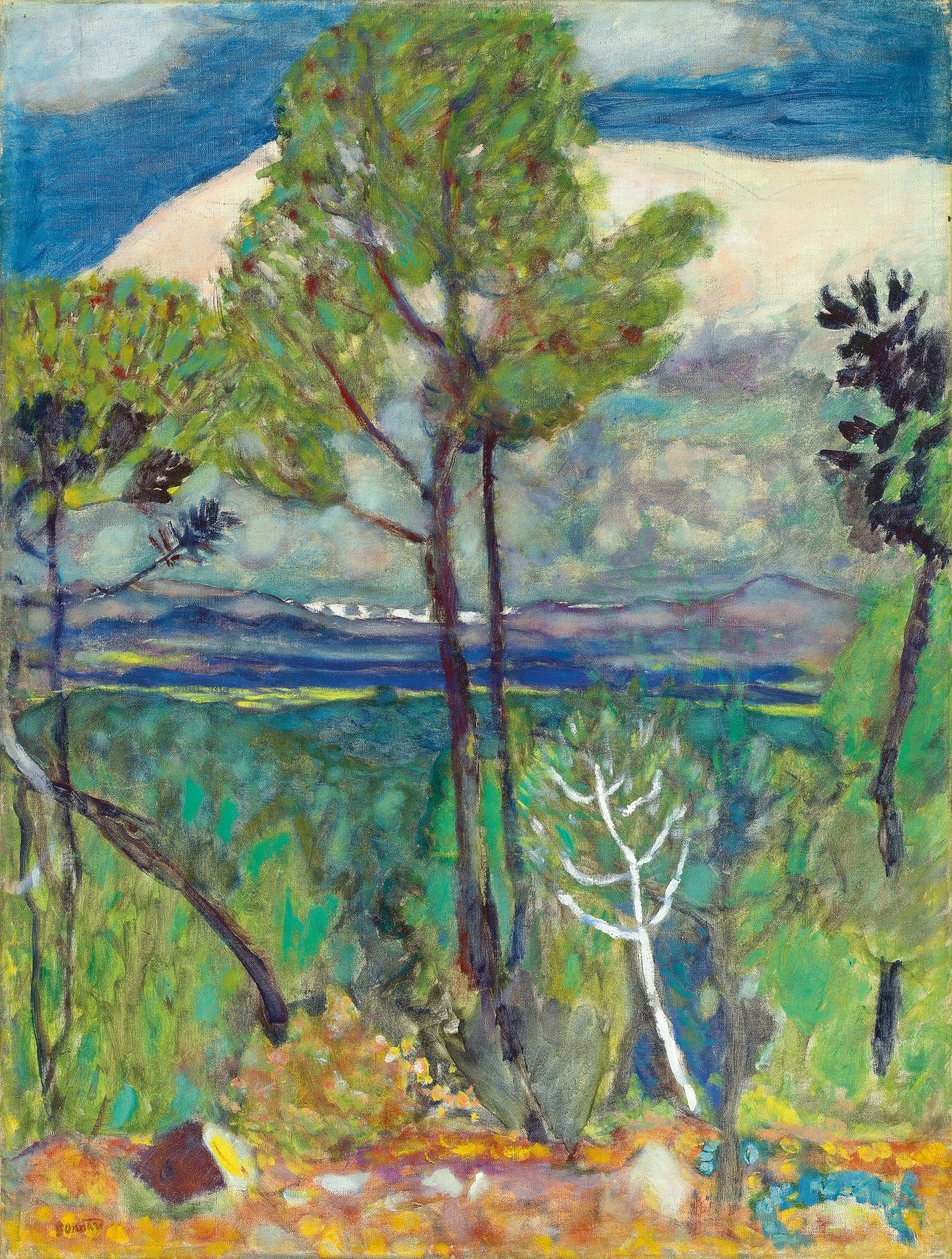 The Pines, By the Sea, c.1923 (olja på duk) av Pierre Bonnard