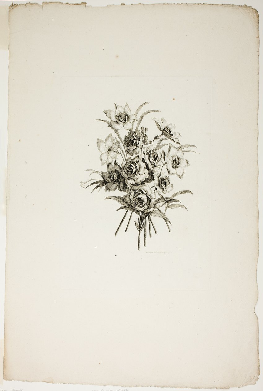 Bukett med påskliljor, från samling av olika buketter av blommor, uppfunnen och ritad av Jean Pillement och graverad av P. C. Canot av Pierre Charles Canot