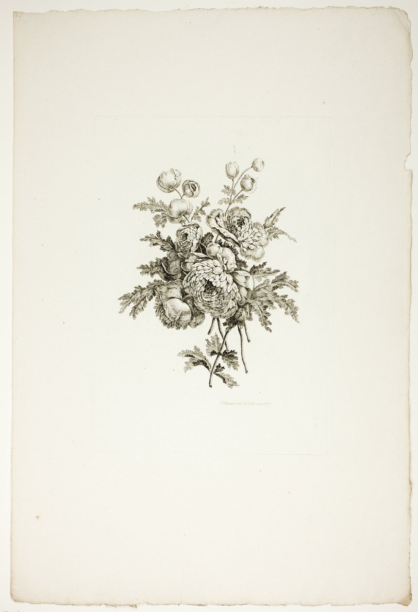 Bukett med pioner, från en samling av olika blombuketter, uppfunnen och ritad av Jean Pillement och graverad av P. C. Canot av Pierre Charles Canot