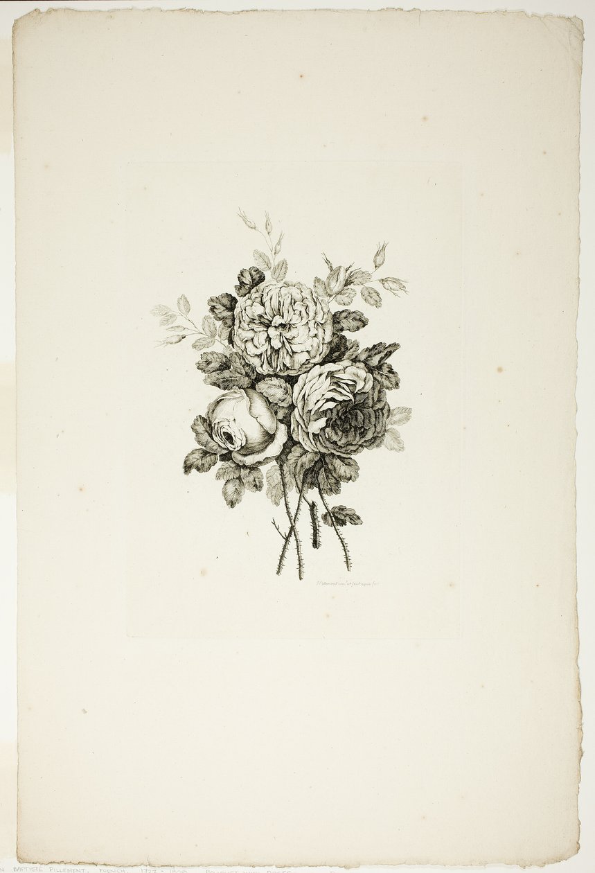 Bukett med rosor, från samling av olika buketter av blommor, uppfunnen och ritad av Jean Pillement och graverad av P. C. Canot av Pierre Charles Canot
