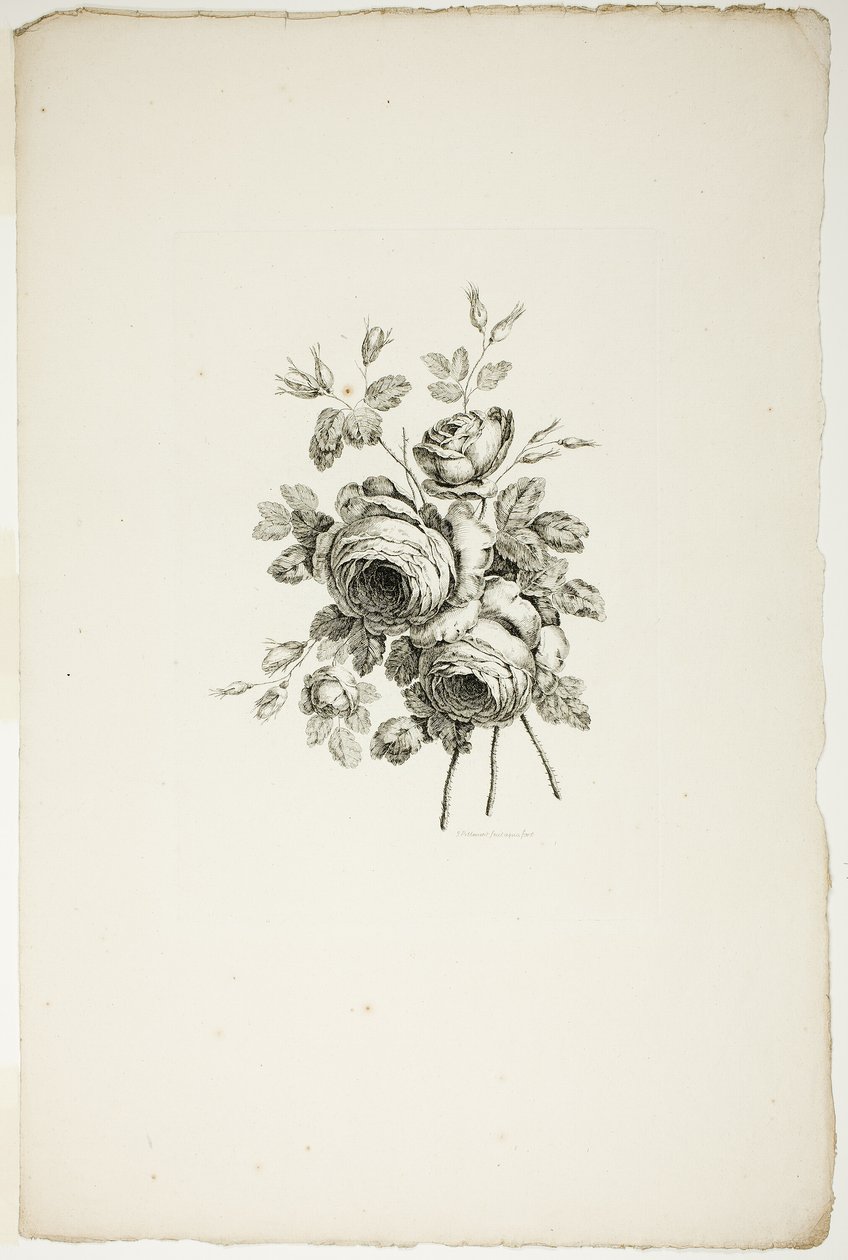 Bukett med rosor, från samling av olika buketter av blommor, uppfunnen och ritad av Jean Pillement och graverad av P. C. Canot av Pierre Charles Canot