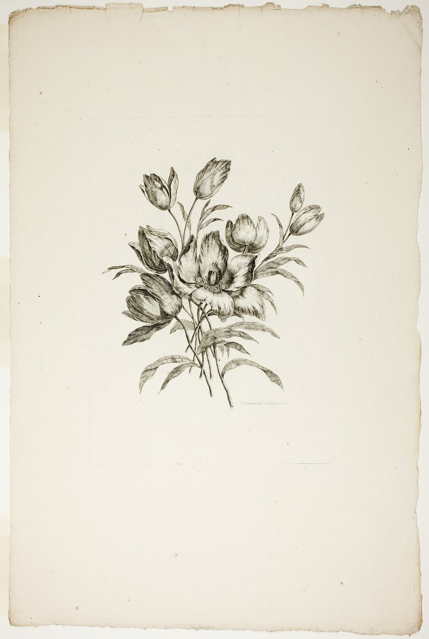 Bukett med tulpaner, från samlingen av olika buketter av blommor, uppfunnen och ritad av Jean Pillement och graverad av P. C. Canot av Pierre Charles Canot