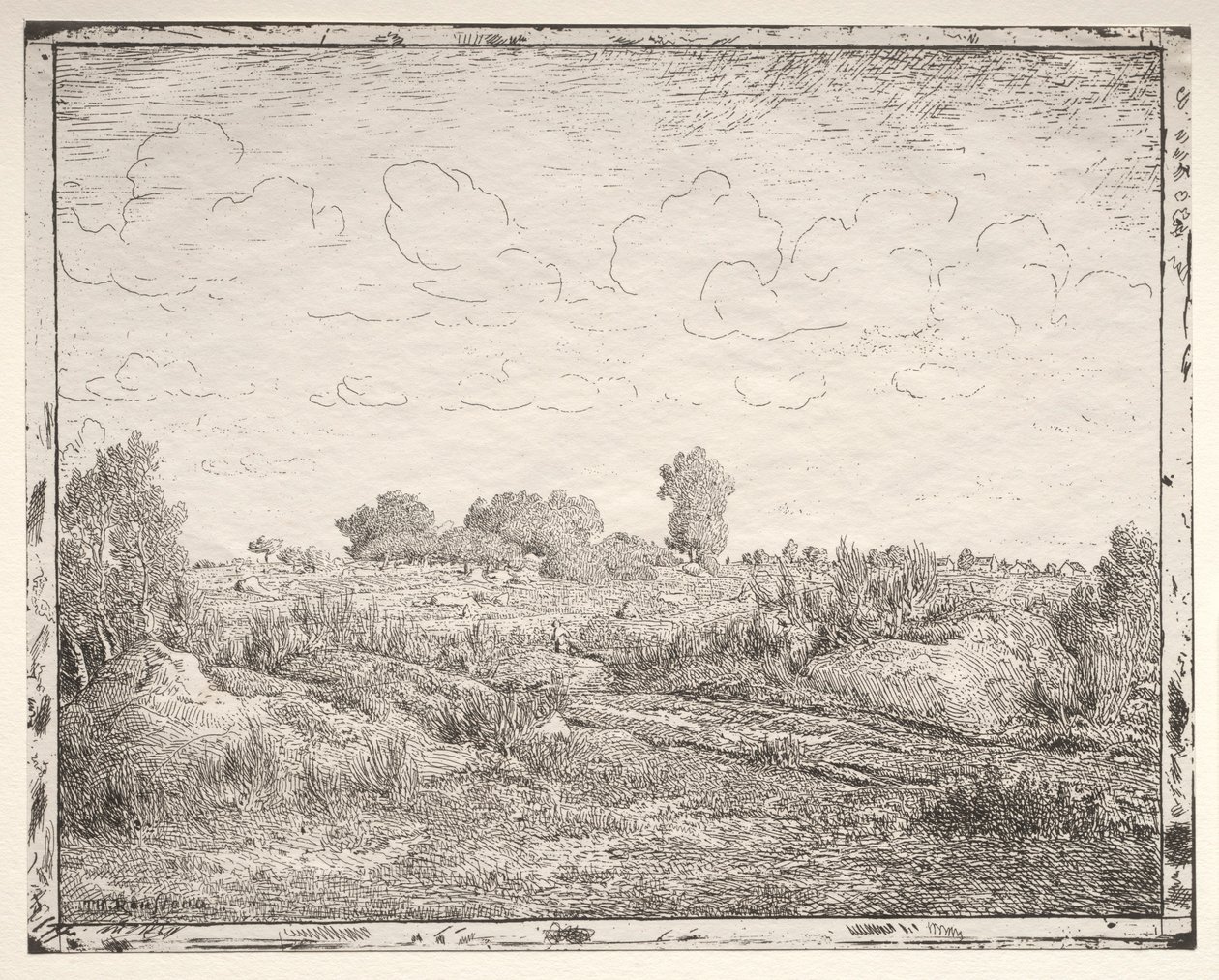 Växtslätten i Biau. av Pierre Etienne Theodore Rousseau
