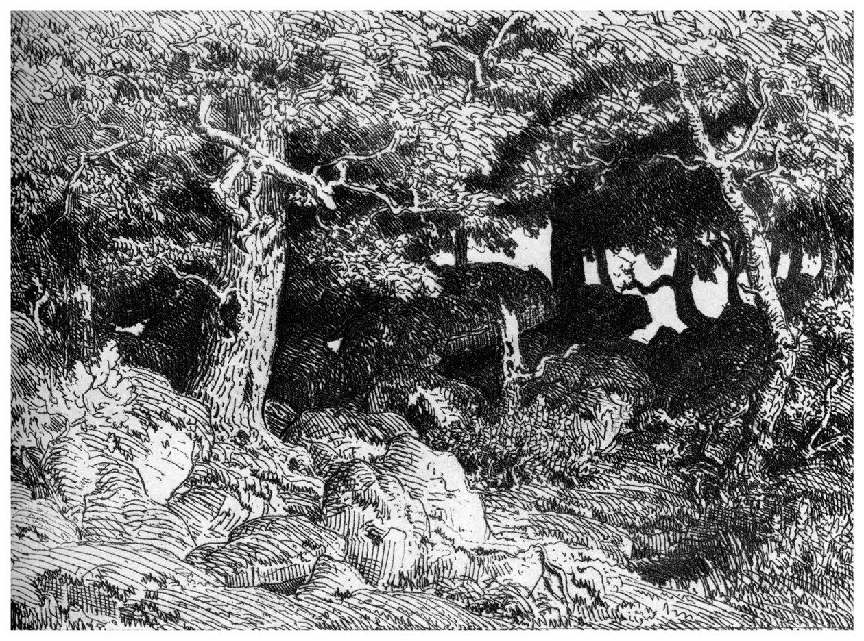 Chenes de Roche, c1832-1860, 1924 av Pierre Etienne Theodore Rousseau