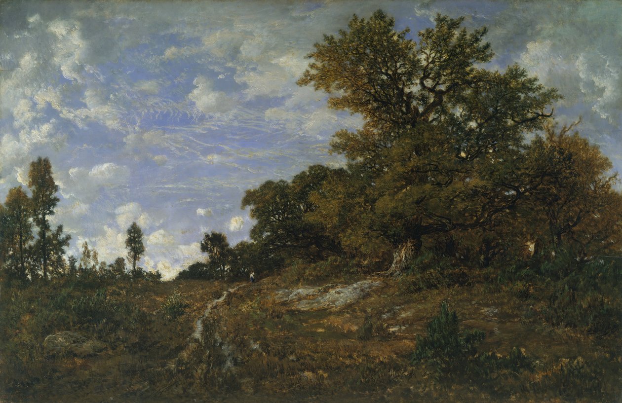 Skogens kant vid Monts-Girard, Fontainebleau-skogen, 1852-54. av Pierre Etienne Theodore Rousseau