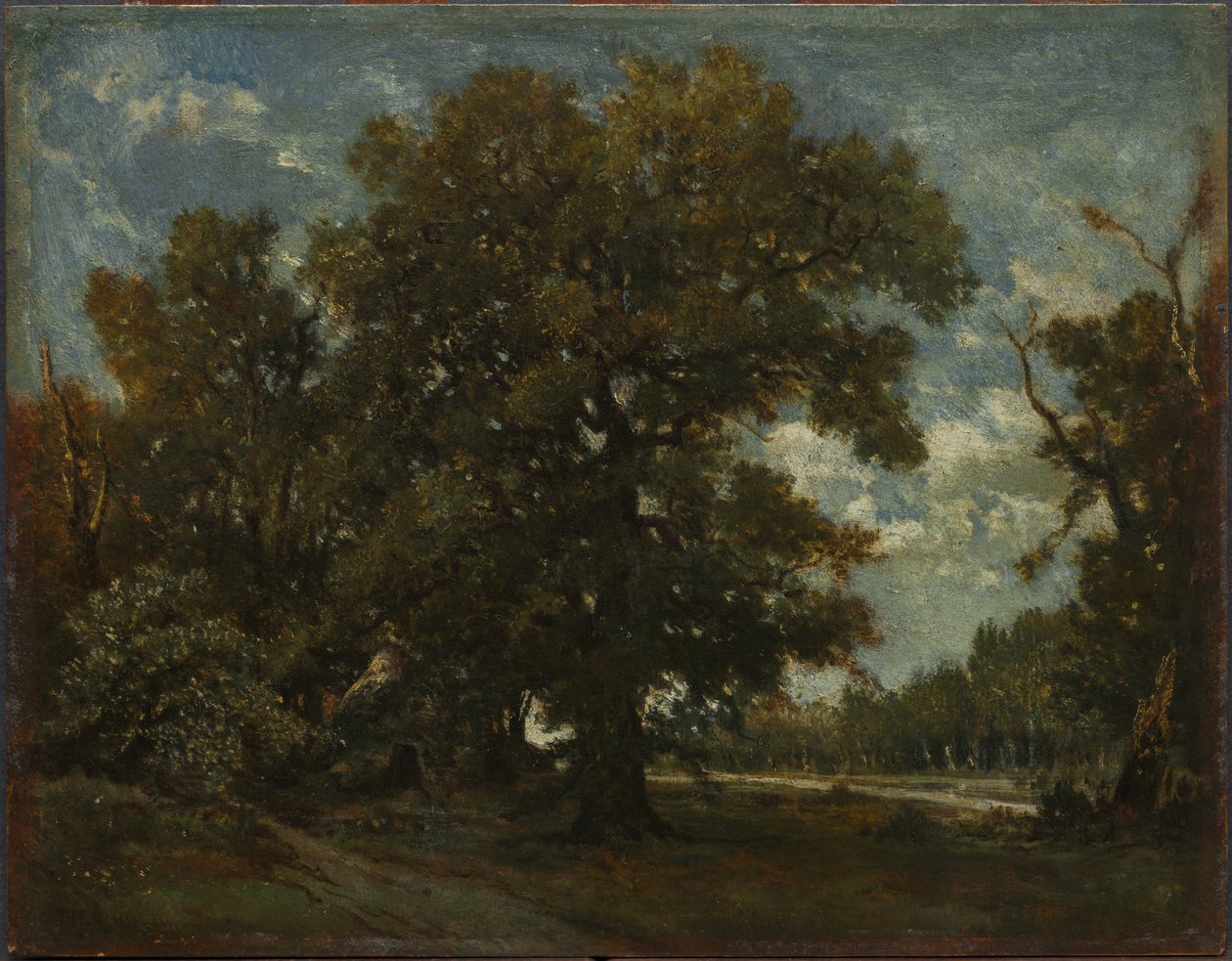 Eken, 1800-talet. av Pierre Etienne Theodore Rousseau