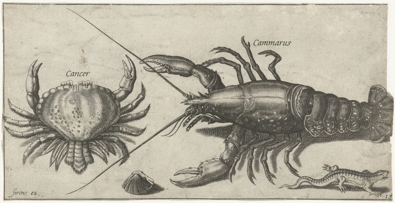 Hummer, krabba, salamander och ett skal Fiske (serietitel) Piscium vivae-ikoner (serietitel) av Pierre Firens